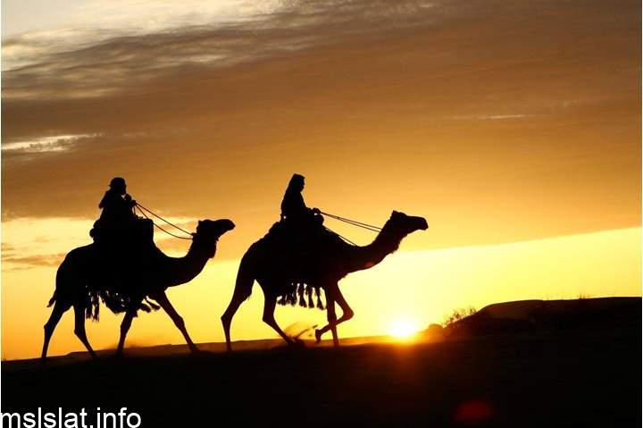 في هجرة النبي صلى الله عليه وسلم الى المدينة اصطحب معه