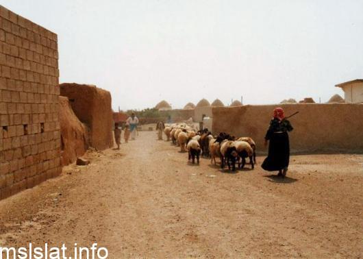 النزوح من الارياف الى المدن يسهم في اهمال الاراضي الزراعيه صح ام خطا