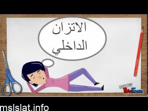 يتحقق الاتزان الداخلي عندما يمتص الماء من الطعام غير المهضوم في