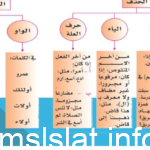 اعط كلمات تمثل حالات الحذف والزيادة المبنية في الجدول التالي