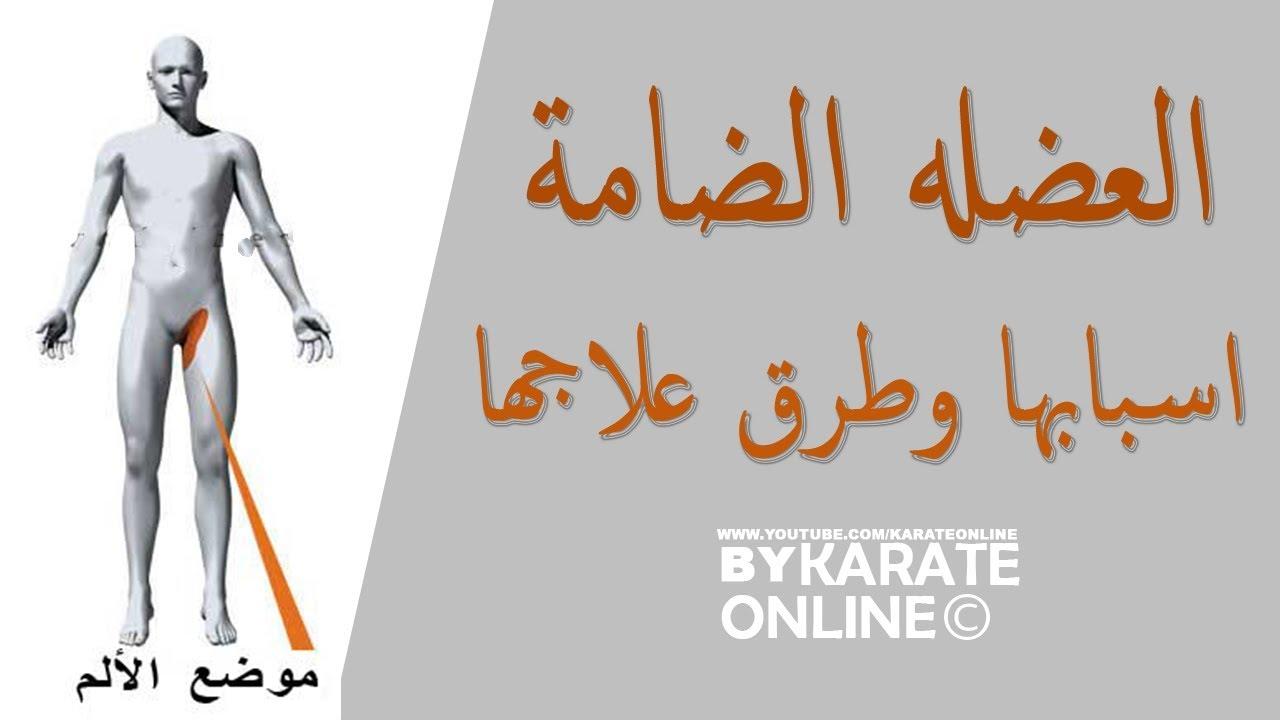 ما هي العضلة الضامة