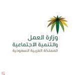 الدعم المقدم من وزارة العمل والجهات التابعة لها