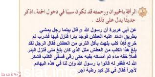 الرأفه بالحيوان ورحمته قد تكون سببا في دخول الجنه