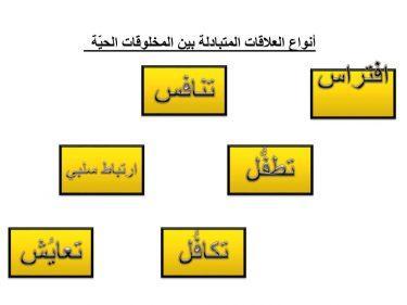 العلاقات الغذائية بين بعض المخلوقات الحية في النظام البيئي