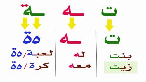 الفرق بين الهاء والتاء المربوطة للاطفال