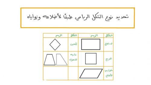 المضلع الرباعي يتكون من