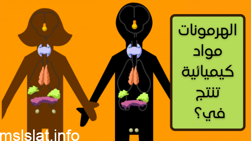 الهرمونات مواد كيميائية تنتج في وتعمل على زيادة أو تقليل سرعة عمليات خلوية محددة