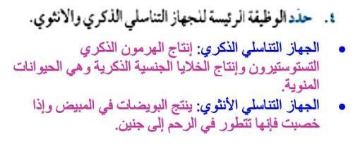 الوظيفة الرئيسة للجهاز التناسلي الذكري والأنثوي هو التكاثر أي السماح بحدوث سلسلة من الأحداث تؤدي إلى ولادة الجنين