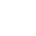 اي المخلوقات التاليه يتبع مملكه الفطريات