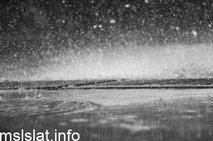 اي من الاتي ليس من انواع الامطار المذكوره في النص