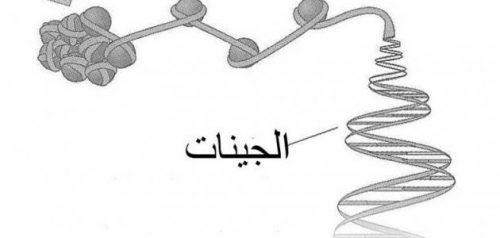 اين توجد الجينات