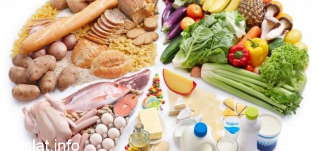 اكمل العباره التالية بعد ان التقت ستيلا لونا بامها خرجت في اول رحله لها للبحث عن الطعام