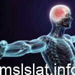 توجد المفاصل غير المتحركة في الإنسان في