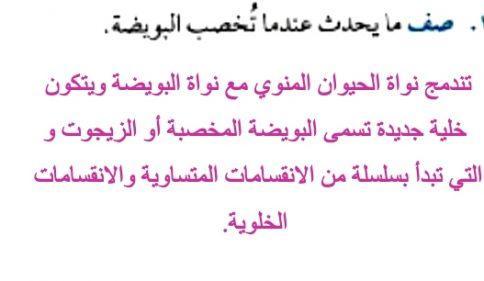 صف ما يحدث عندما تخصب البويضه