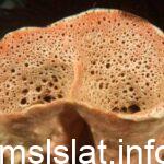 صفات الاسفنج هي