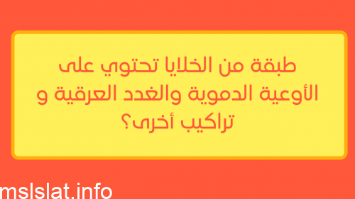 طبقة من الخلايا تحتوي على الأوعية الدموية والغدد العرقية و تراكيب أخرى
