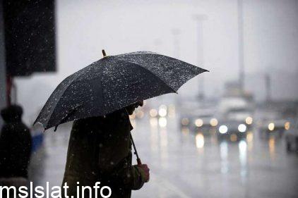 عدد انواع المطر التي ذكرت في النص هي