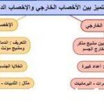 عمليه اندماج المشيج المذكر مع المشيج المؤنث داخل جسم الانثى