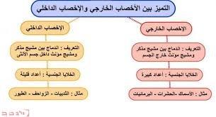 عمليه اندماج المشيج المذكر مع المشيج المؤنث داخل جسم الانثى