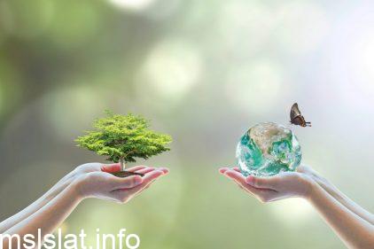 فرع متخصص من العلوم يدرس العلاقات المتبادلة بين المخلوقات الحية وتفاعلاتها مع بيئاتها