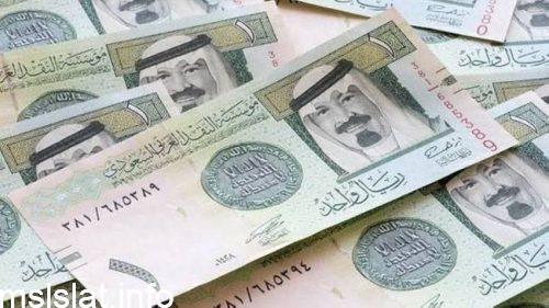 في محفظة نقود فهد مبلغ من المال، إذا أنفق ريالين كل يوم وبعد اسبوعين بقي معه ريال واحد ، فكم كان معه في محفظته؟