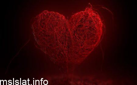 كلمة عن الوطن قصيرة جداً