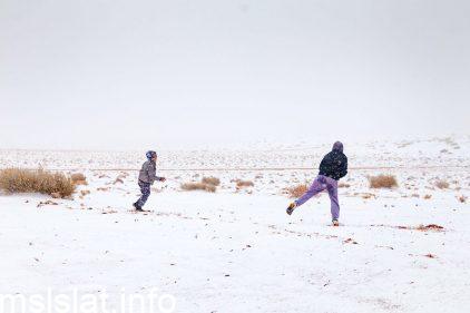 كم تبعد علقان عن تبوك