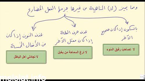 كم صيغه لاسلوب النهي