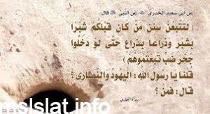 لتتبعن سنن من كان قبلكم