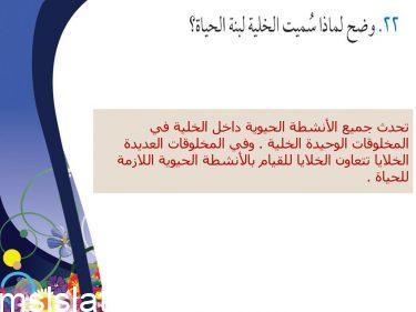 لماذا سميت الخلية لبنة الحياة