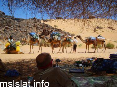 لماذا كان العرب يرسلون ابناءهم للرضاعة في البادية