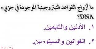 ما ازواج القواعد النيتروجينية الموجودة في جزيء dna