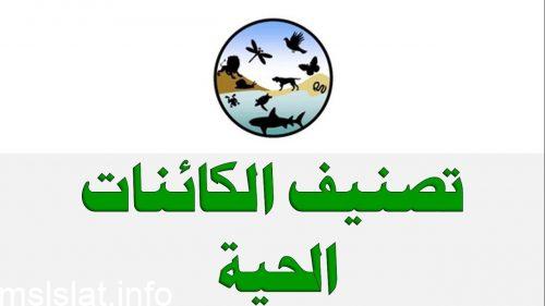 ما الذي يصنف المخلوقات الحية في مملكة الطلائعيات ؟