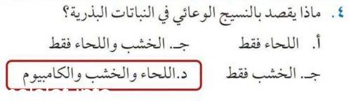 ماذا يقصد بالنسيج الوعائي في النباتات البذرية؟
