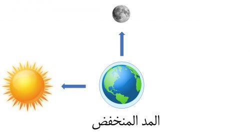 متى يحدث المد المنخفض