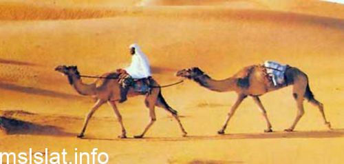 من الاخلاق الحسنه عند العرب قبل الاسلام