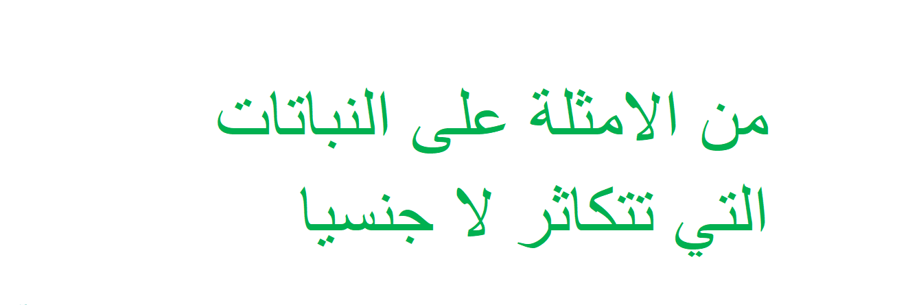من الامثلة على النباتات التي تتكاثر لا جنسيا