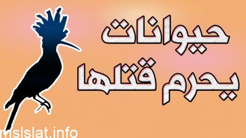 من الحيوانات التي يحرم قتلها لورود النهي عن ذلك