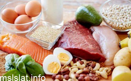 من ضمن أهمية البروتينات تعمل كانزيم