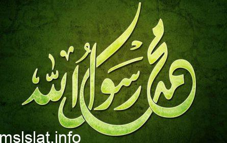 ولد النبي صلى الله عليه وسلم