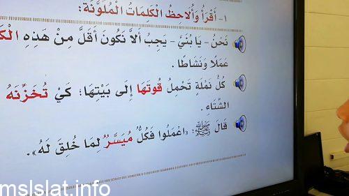 ياتي الحرف المضعف في اول الكلمه
