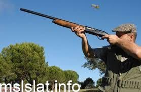 يجوز الصيد بالبنادق لانها