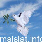 يعتبر الأمن سبب رئيس في استقرار السكان وجذبهم
