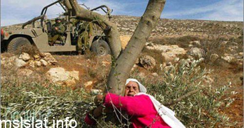 يناقش الطلبة المزاعم الصهيونية بشأن أحقيتهم في أرض فلسطين