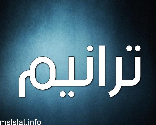 وفق التصنيف الياباني الروبوت من الفئة الأولى عبارة عن أجهزة يتحكم بها يدوياً .