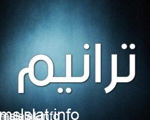 ولد الملك فيصل في مدينة
