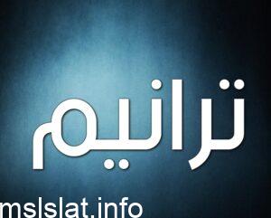 أمر ملكي: تعيين الشيهانة صالح العزاز نائبا لأمين مجلس الوزراء أمر ملكي: تعيين الشيهانة صالح العزاز نائبا لأمين مجلس الوزراء