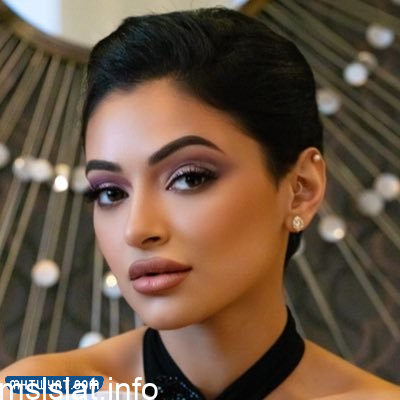 سبب القبض على شوق الهادي