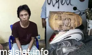 سبب مقتل ريكا كارينا