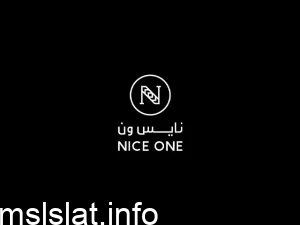 معلومات عن موقع نايس ون اصلي أم تقليد
